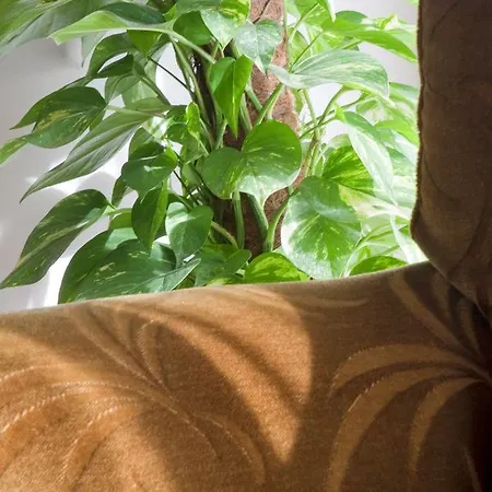 호텔 안티코 아쿠에도토 3*